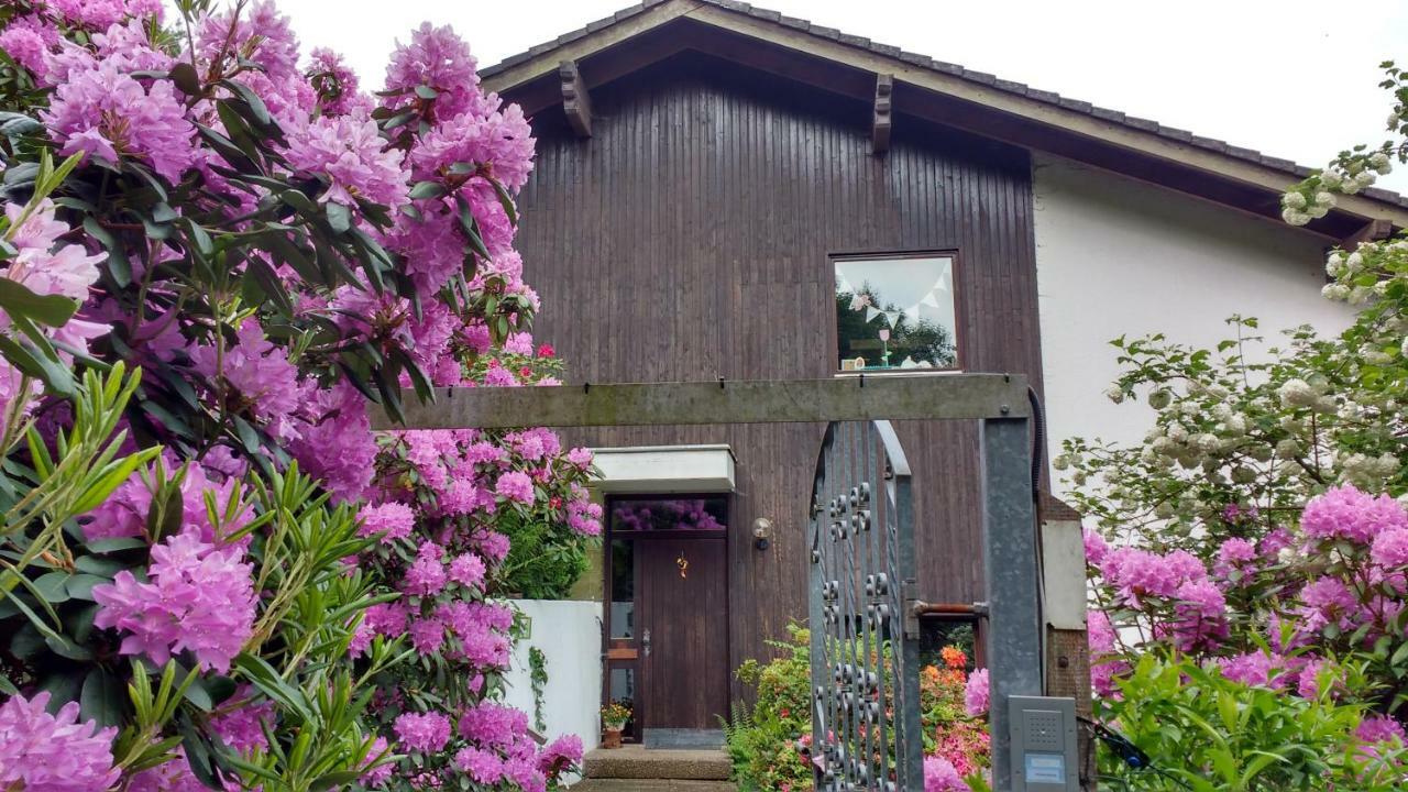 Ferienwohnung Rhododendron - Natur Pur Am Highwalk Ротенбурґ-ан-дер-Фульда Екстер'єр фото