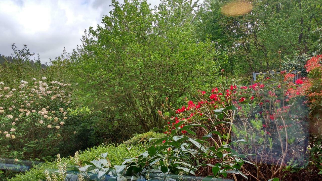 Ferienwohnung Rhododendron - Natur Pur Am Highwalk Ротенбурґ-ан-дер-Фульда Екстер'єр фото